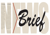 News Brief