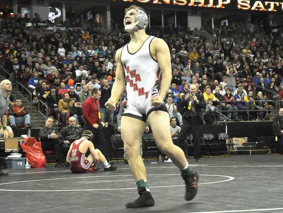 ig wrestling sarbacker