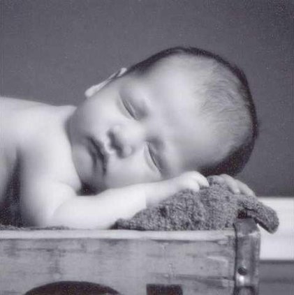 Braxton Shane web