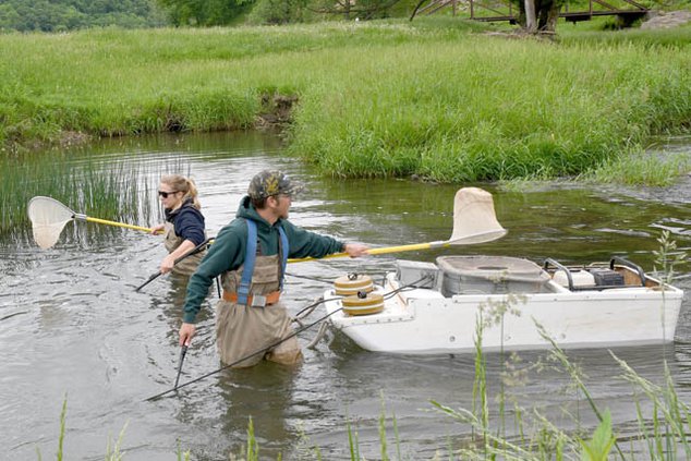 Free Fishing_2_ANVIL.jpg