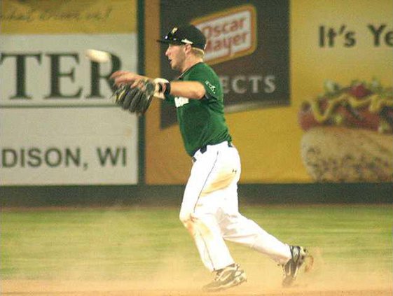 woodchucks m. feldman
