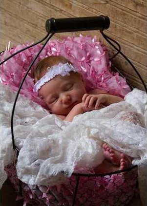 Savannah Rose web