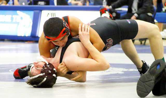 Darl-BH wrest Cruz vs Deer color