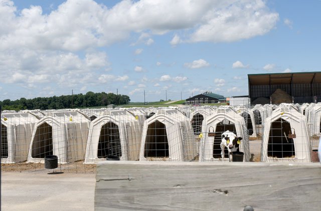 Water Matters Tour_CALF HUTCH