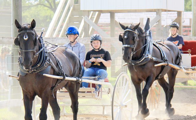 FAIR_HORSE AWARD