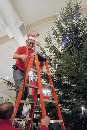 streiff tree
